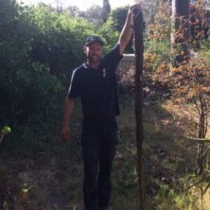 How to Fix Blocked Drains Eltham: Expert Tips to Save Your Sunday